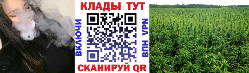 Где купить Сычёвка ГАШИШ  МАРИХУАНА  Кокаин  Alpha PVP  Меф 