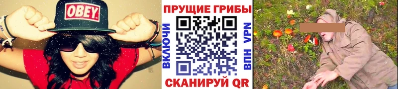дарк нет телеграм  Сычёвка  Псилоцибиновые грибы Magic Shrooms  где купить наркоту 